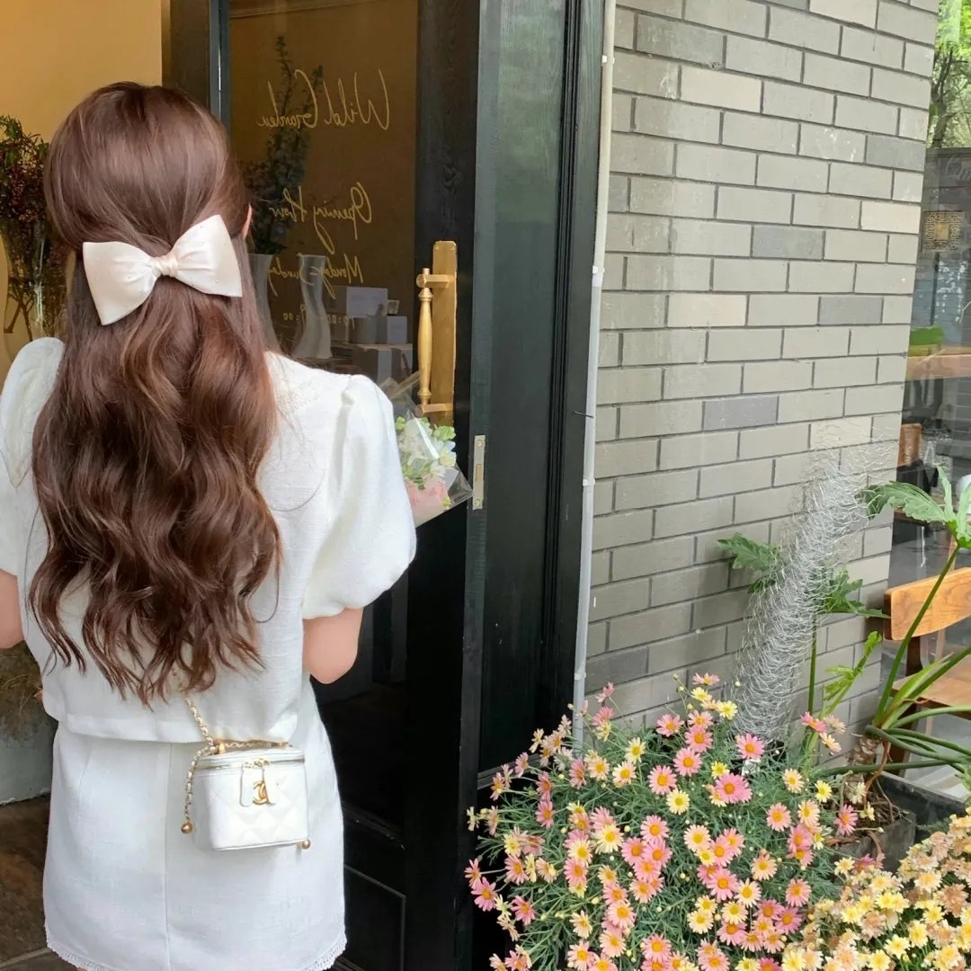 狮子狗行动